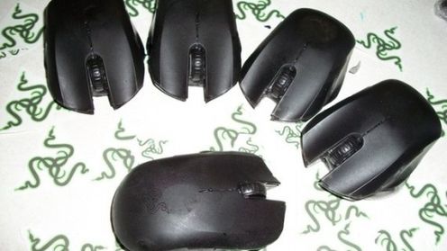 Nie, to nie są myszki 1