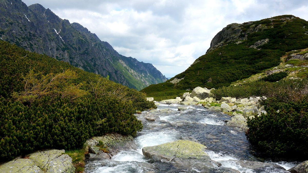 Smartfon na szlaku. Aplikacje turystyczne i najważniejsze informacje 1