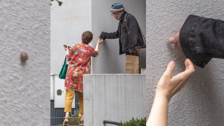 Gabriela Muskała i Zbigniew Zamachowski ratują ślimaka