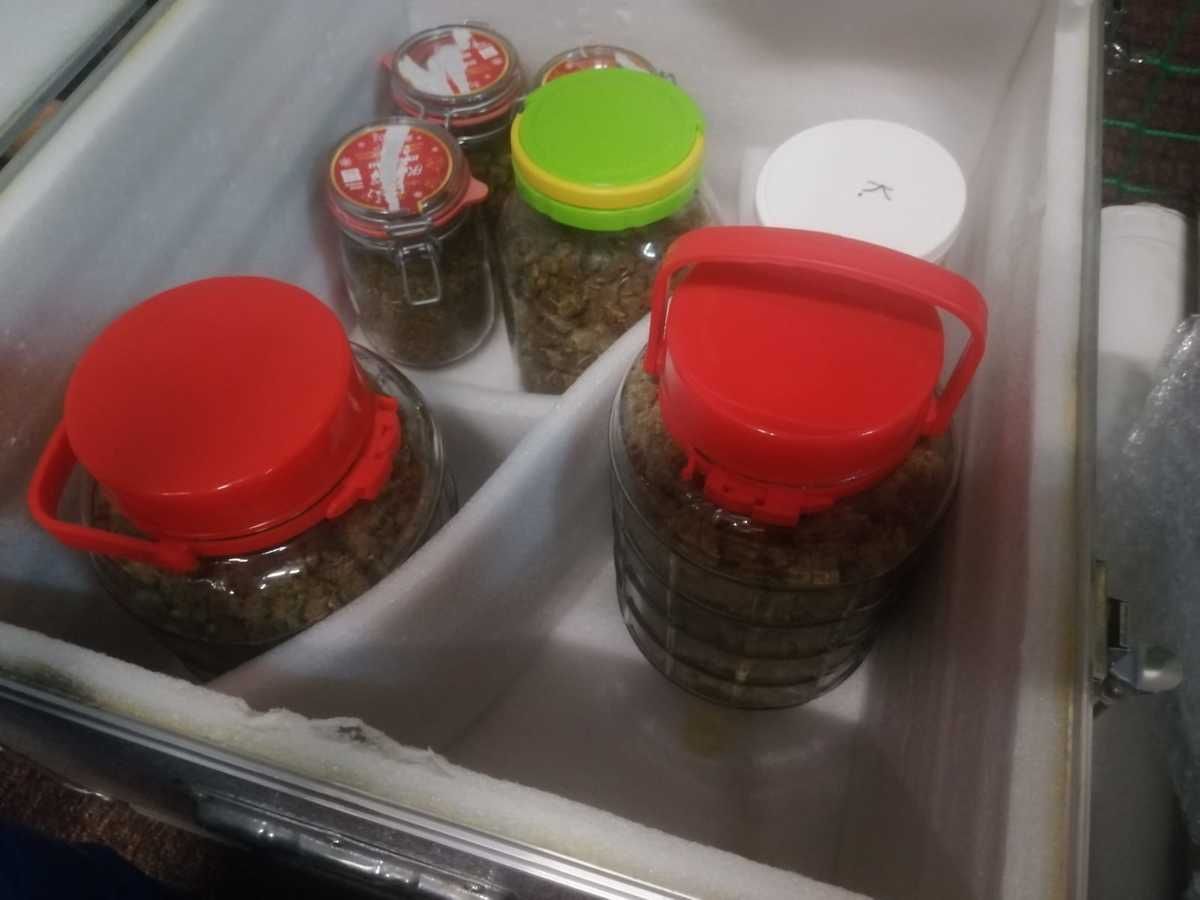 Marihuana w słoikach