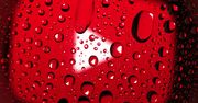 Pamiętacie Google+? Historia właśnie się powtarza