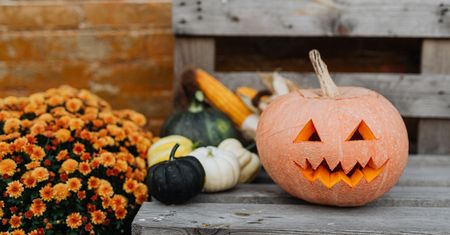 Halloween 2020. Kiedy wypada i czy wiesz, skąd pochodzi ten zwyczaj?