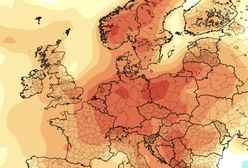 Nadchodzą upały i susze? Maj może nas zaskoczyć