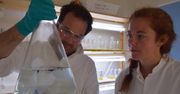 Eksperymenty dowodzą, że bakterie naprawdę mogą zjadać i trawić plastik