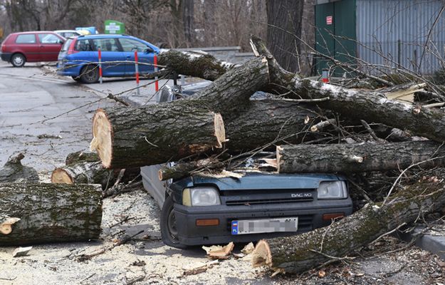 Trzy osoby ranne, strażacy interweniowali ok. 1400 razy. Wichury nad Polską