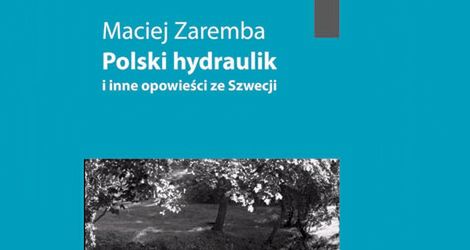 Polski hydraulik i inne opowieści ze Szwecji - Maciej Zaremba