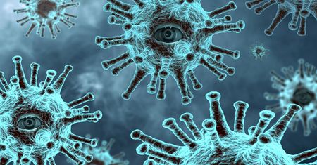 Tanzania w obliczu epidemii wirusa Marburg: Wyjątkowe wyzwanie zdrowotne