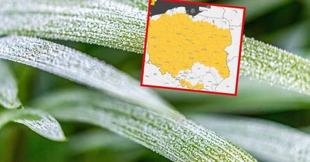 Zrobi się bardzo zimno. Alert IMGW dla 14 województw
