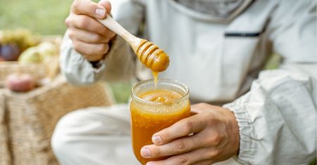 Na rynku wiele oszukanych miodów. Znak z etykiet pozwoli zaoszczędzić pieniądze, a przede wszystkim zdrowie