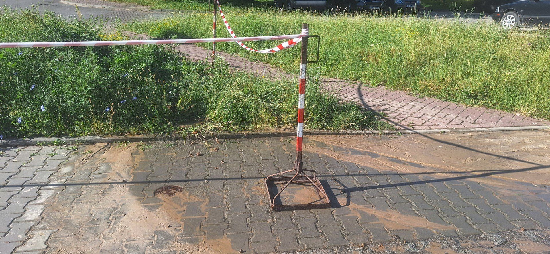 Wirtualna Polska