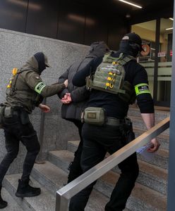 Influencerzy na wolności. Jest decyzja ws. aresztu