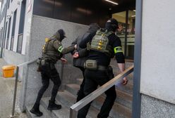 Influencerzy na wolności. Jest decyzja ws. aresztu