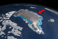 "Nie chcemy być Amerykanami". Mocne słowa premiera Grenlandii