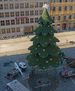 Wigilia 2020. Przedświąteczna sprzedaż choinek i ryb we Wrocławiu