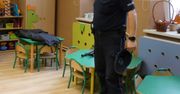 Skandal w chełmskim przedszkolu. Nauczycielka przyszła tak do dzieci