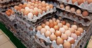 Skontrolowano jakość jajek. Inspekcja musiała nałożyć kary