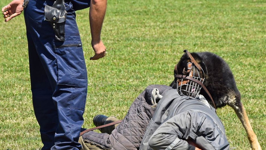  Piknik Mundurowy na Rynku Miejskim
