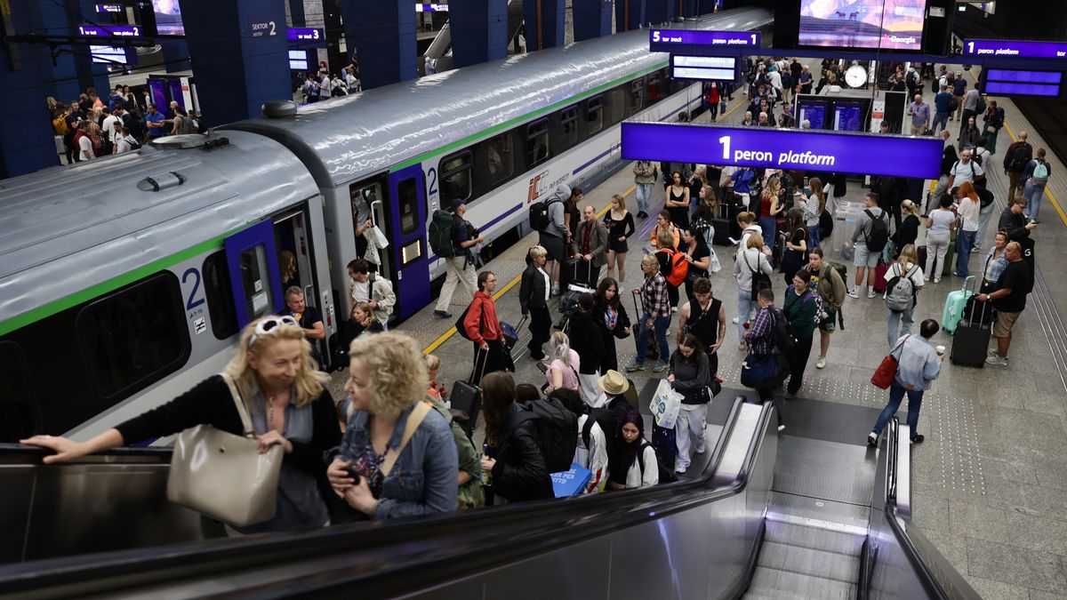 Rząd mówi o "oszustwach" 800 plus wśród cudzoziemców. Pokazali dane