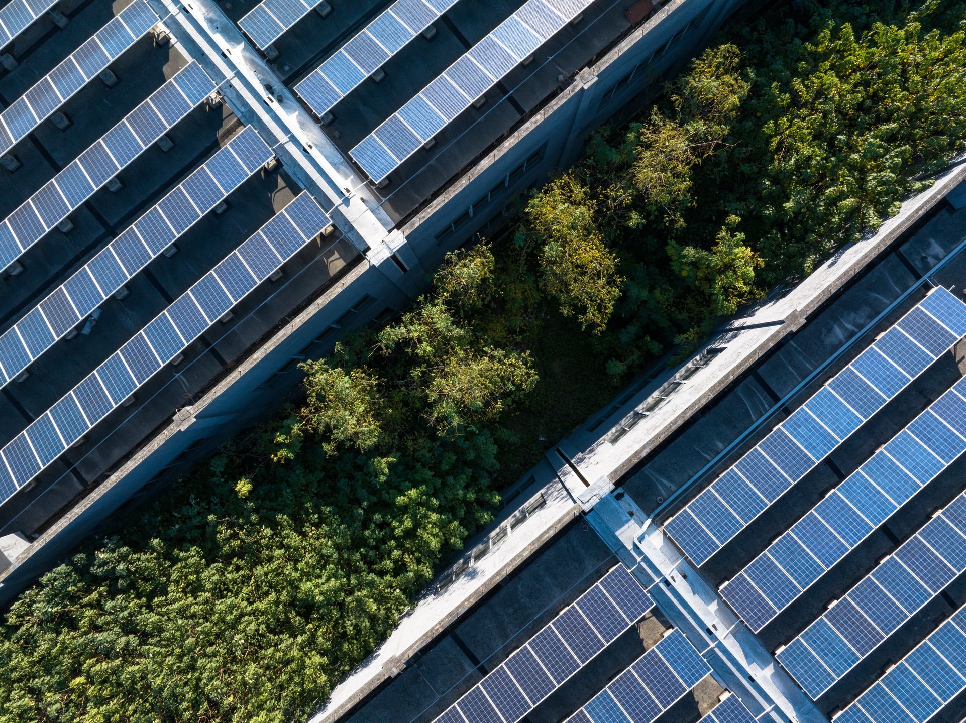 default
warehouse, station, recycling, building, sustainable, solar, electric, sunlight, electrical, rooftop, electricity, power, technology, plant, industrial, energy, renewable, innovation, photovoltaic, factory, roof