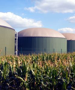 Nie chcą inwestycji byłej gwiazdy reality show. "Pogonimy go stąd"