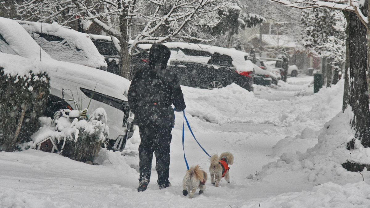 Prognoza pogody na Boże Narodzenie. Spadnie śnieg w Polsce?