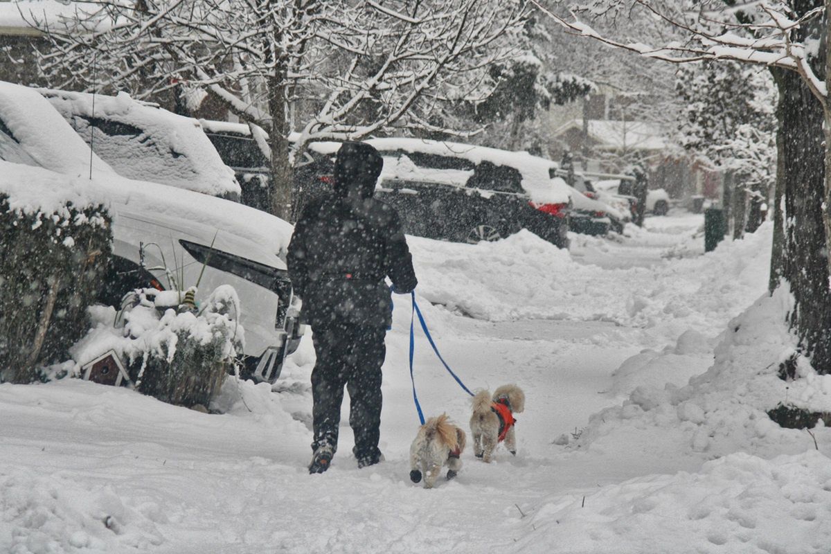 Prognoza na Boże Narodzenie. Czy będzie padał śnieg?