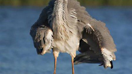 „Przyroda Ojczysta” - rozstrzygnięty konkurs fotograficzny 1