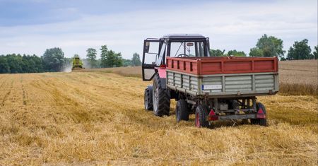 8 tys. zł strat przez dzikie ptaki. Rolnicy zostają bez odszkodowań