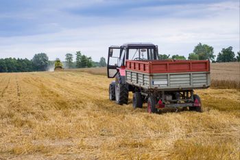 8 tys. zł strat przez dzikie ptaki. Rolnicy zostają bez odszkodowań