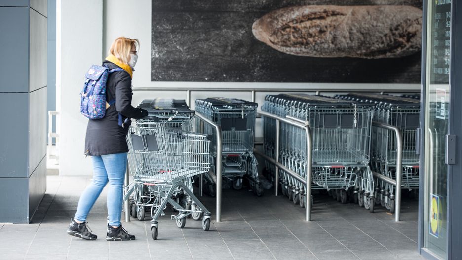 Lidl zakupy handel wózki zakupowe
