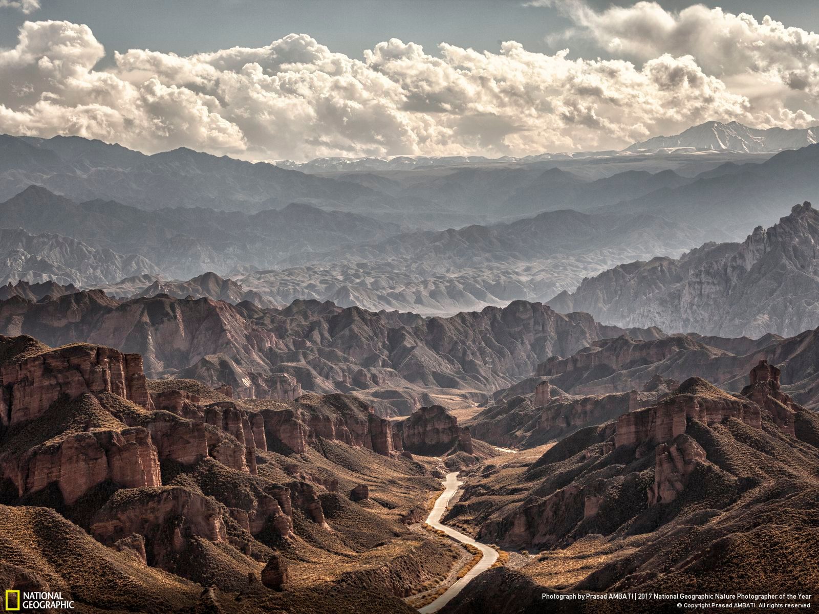 Poznaj najnowsze zgłoszone zdjęcia w konkursie Nat Geo Nature Photographer of the Year 2017 11