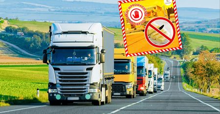 Zatrzymali 40 ton żywności z Ukrainy. Wykryli rażący błąd