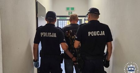 Znęcali się nad psami. Grozi im surowa kara