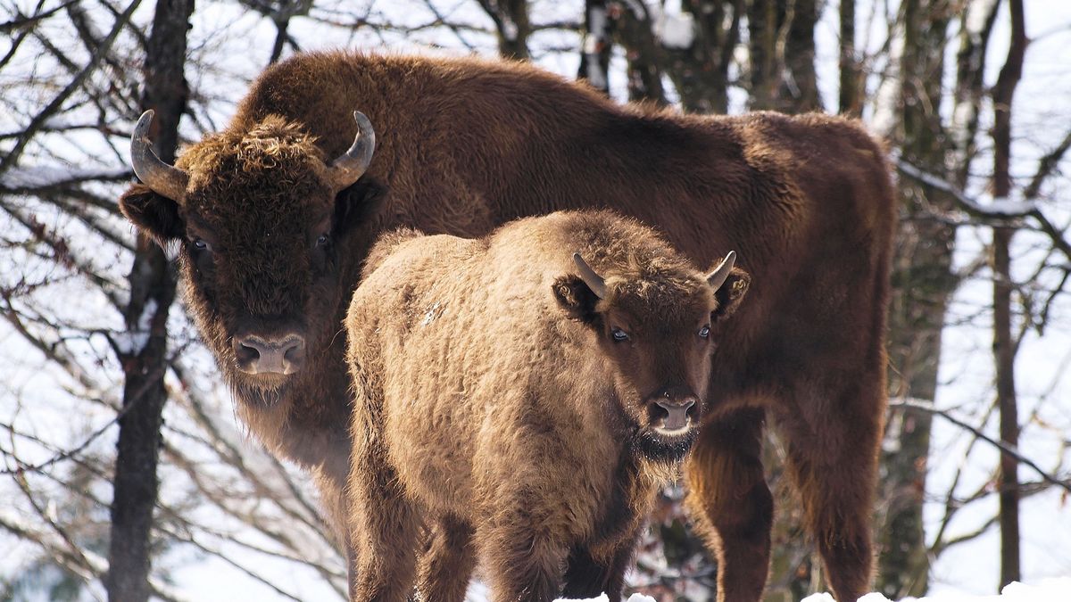 Zdjęcie ilustracyjne. 