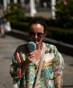 Stopiony pas na lotnisku w Anglii, pociągi stoją. "To absolutny rekord"