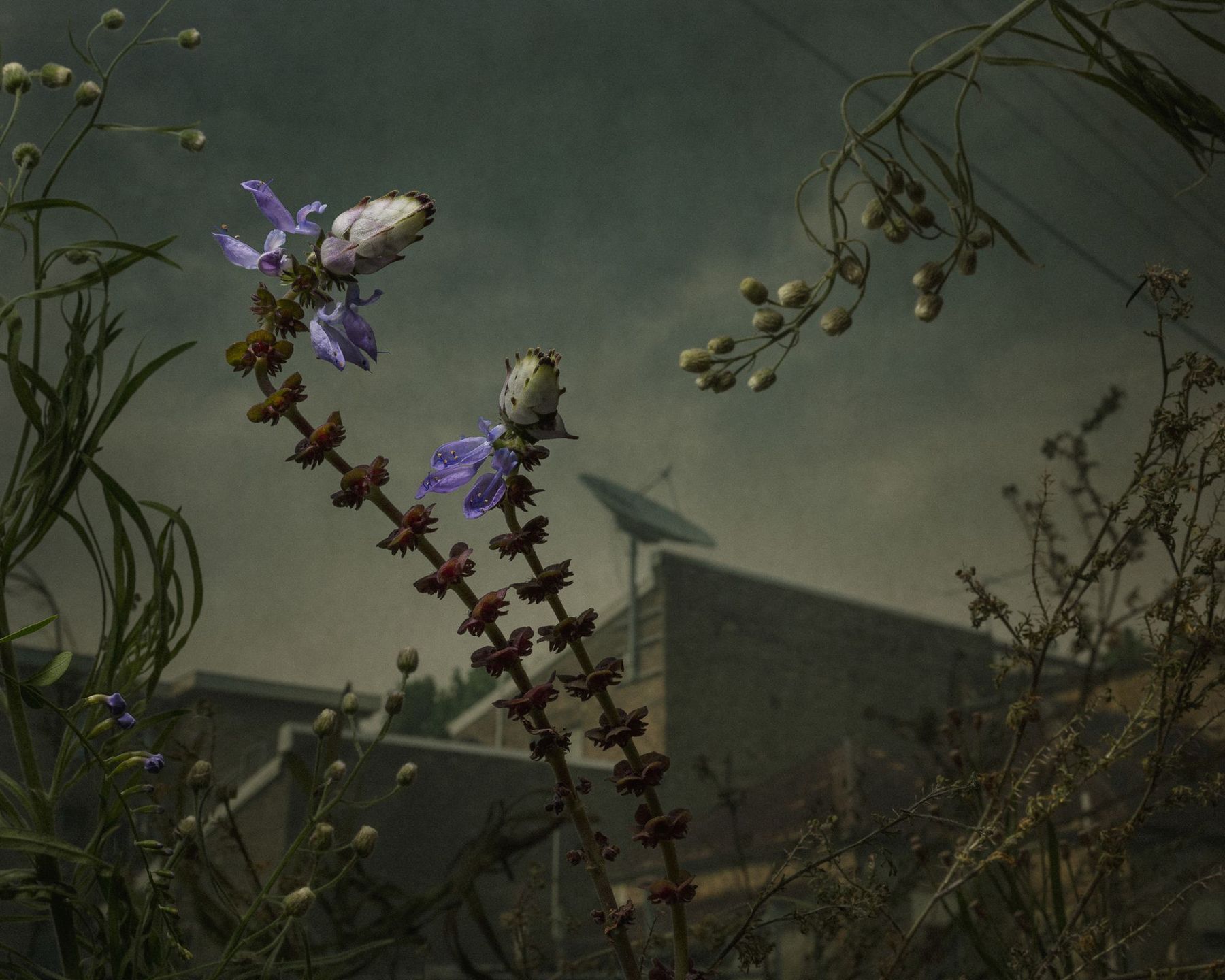 Dwóch Polaków wśród zwycięzców prestiżowego konkursu Magnum Photography Awards 2017 56