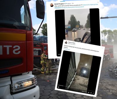 Atak żywiołu w Szczecinie. Powalone drzewa, zalane piwnice