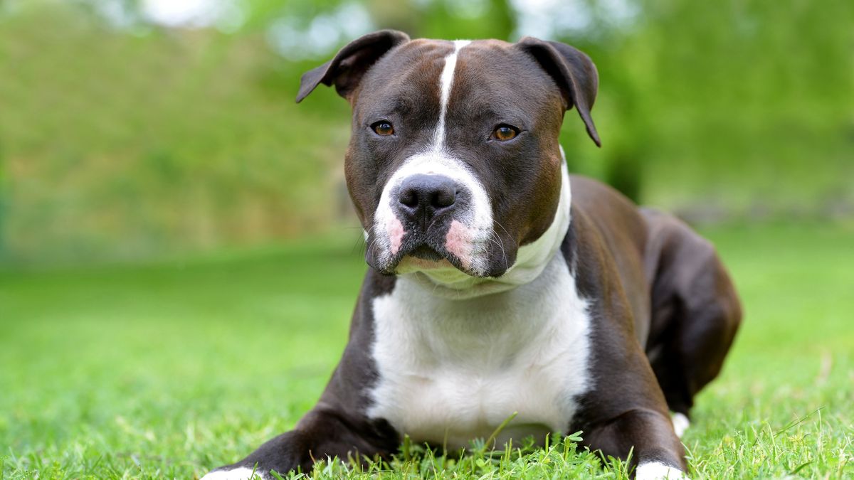 Krzyżówka z wiedzy ogólnej