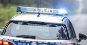 Narkotyki i broń hukowa w mieszkaniu w Głogowie. Policyjna akcja z udziałem wyszkolonego psa