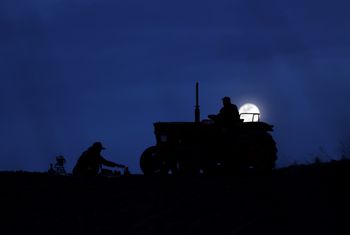 Rolnicy z Turcji zbierają plony nocą. Wszystko przez ekstremalne upały