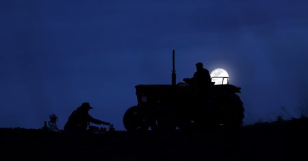 Rolnicy z Turcji zbierają plony nocą. Wszystko przez ekstremalne upały