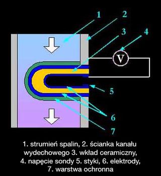 Zdjęcie ilustracyjne do artykułu