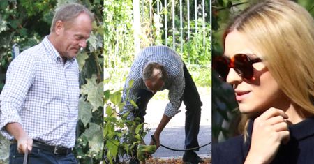 Przykładny Donald Tusk sprząta kupę psa na spacerze z Kasią (ZDJĘCIA)