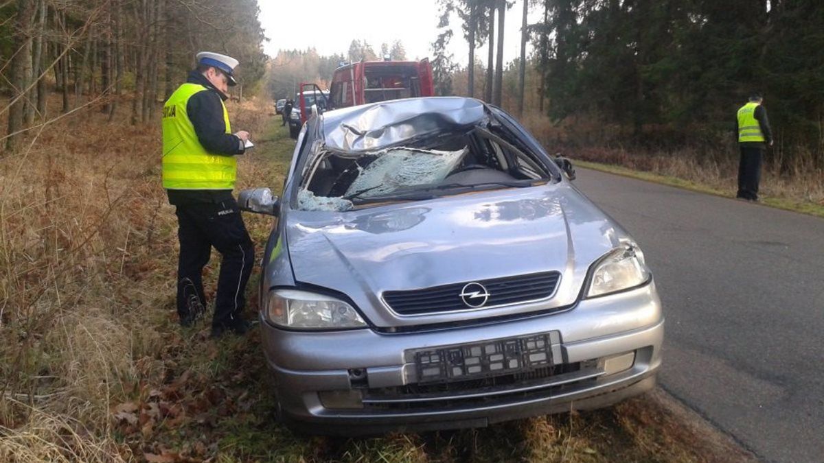 Zwykle po kontakcie z łosiem przód auta wygląda nieźle, ale dach i przednia szyba są zniszczone.