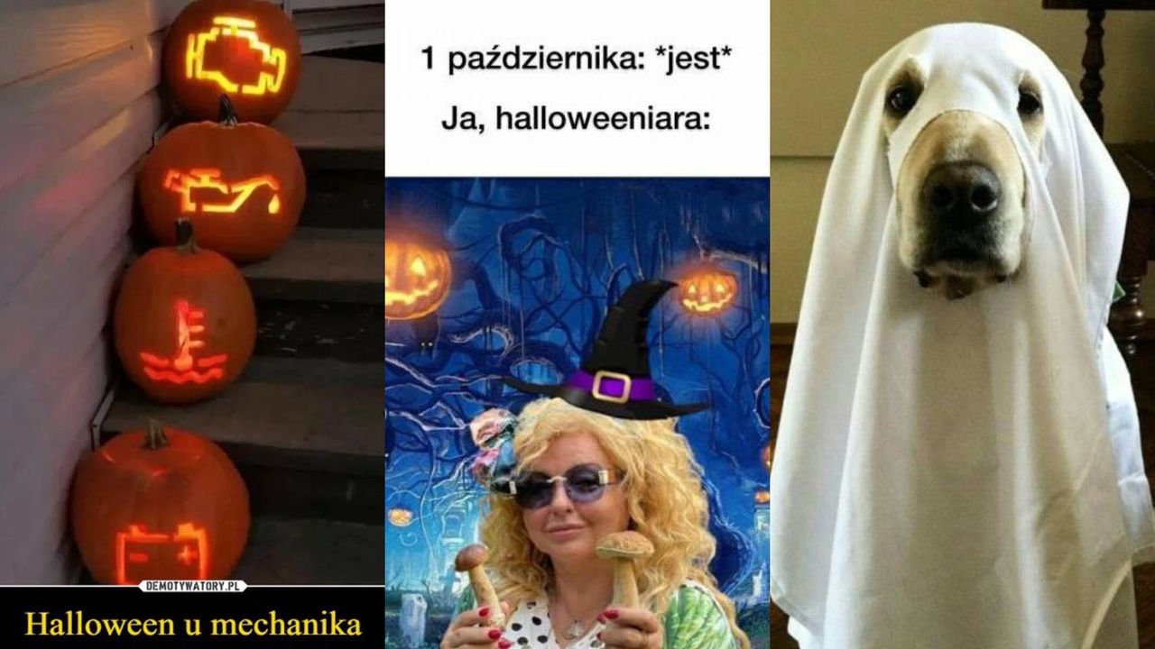 Halloween 2024, najlepsze memy