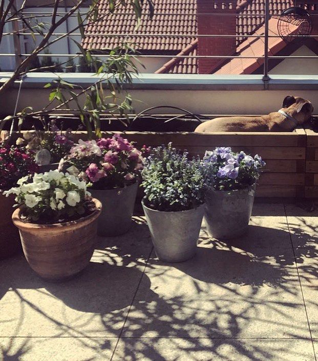 Tak mieszkają Aleksandra Kwaśniewska i Kuba Badach