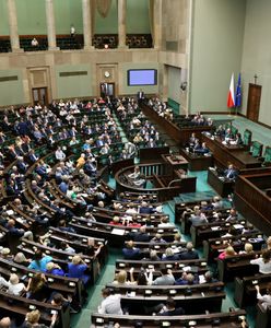 Komisja ds. pedofilii. Opozycja zgłosiła kandydatkę