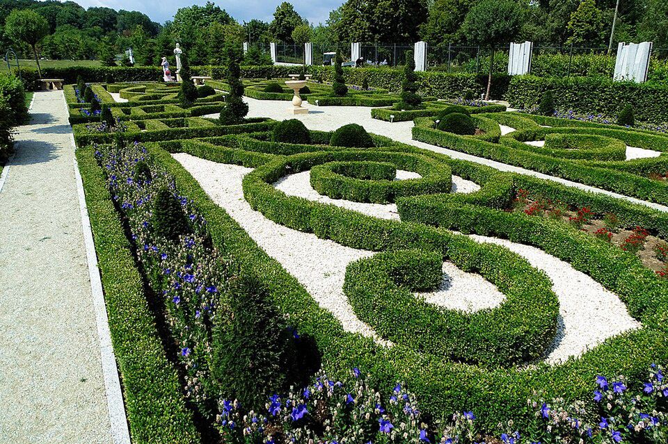 Kielce: Platan Gustaw i wyjątkowa ławeczka już w Ogrodzie Botanicznym