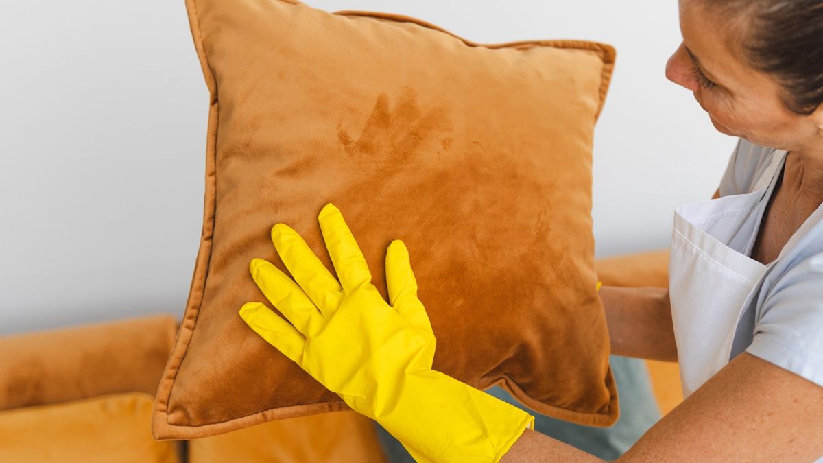 Jak usunąć sierść z tapicerki?