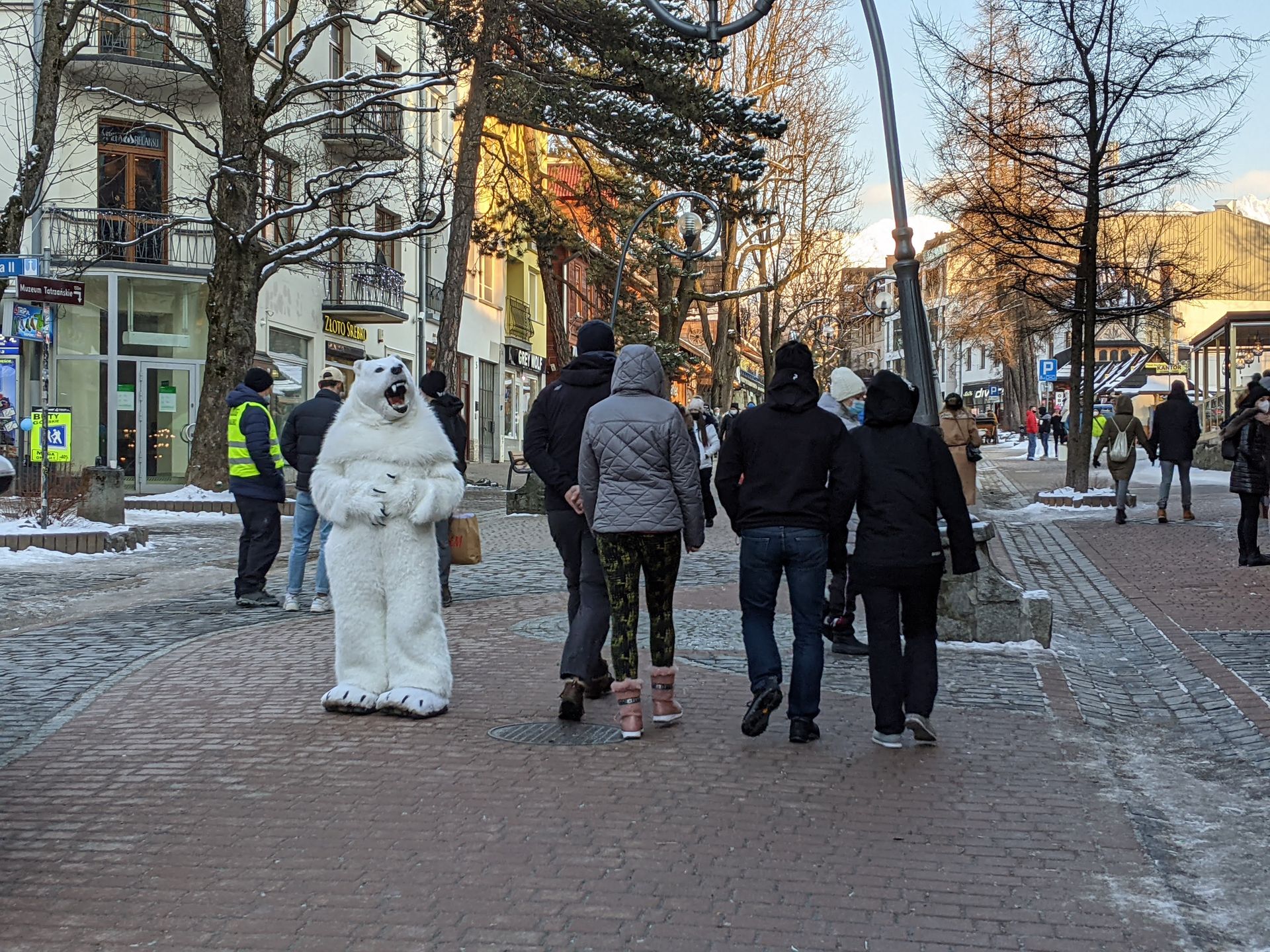 Miś na Krupówkach